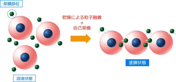 UWシリーズ