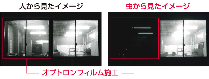オプトロンフィルムを使用したときの人から見たイメージと虫から見たイメージ