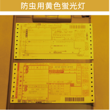 防虫用黄色蛍光灯の見え方
