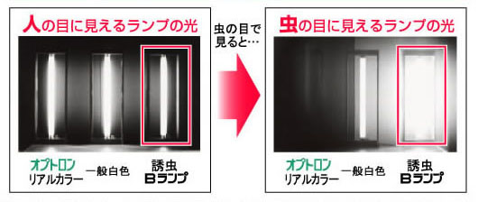 人と虫の可視光域の違いを利用した誘虫効果!