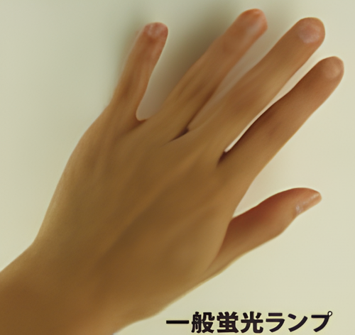 一般蛍光ランプ
